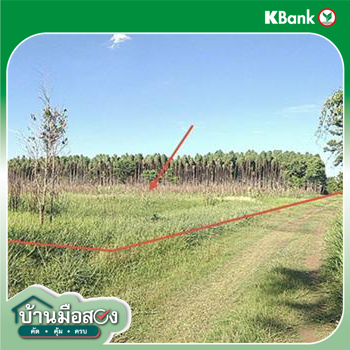 picture LAND 8416.6 Sq.w. Aranyaprathet Srakaeo for 9.4M - 23/25