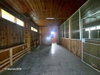listing thumbnail image 39