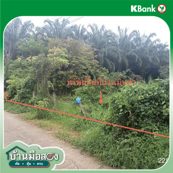 รูป ที่ดินว่างเปล่า 143 ตร.วา พระพรหม นครศรีธรรมราช 841,000 - รูปที่ 15/17