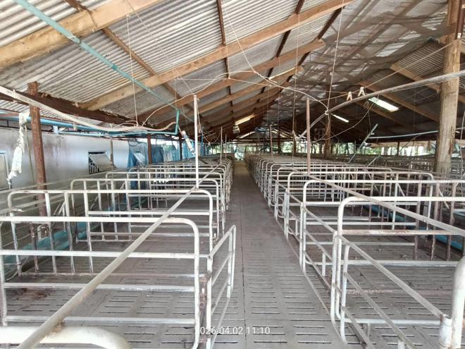 รูป ฟาร์ม 6600 ตร.วา เมืองปราจีนบุรี ปราจีนบุรี 8.8M - รูปที่ 13/89
