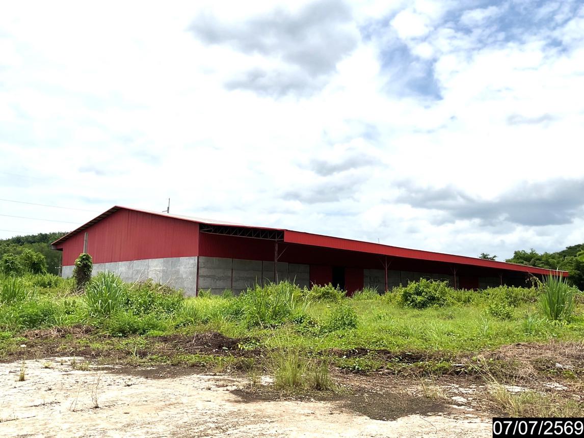 รูป โกดัง 14393 ตร.วา เมืองเลย เลย 42.8M - รูปที่ 28/45