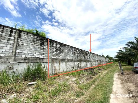 รูป ที่ดินว่างเปล่า 1016.8 ตร.วา บ้านบึง ชลบุรี 13.6M - รูปที่ 18/21