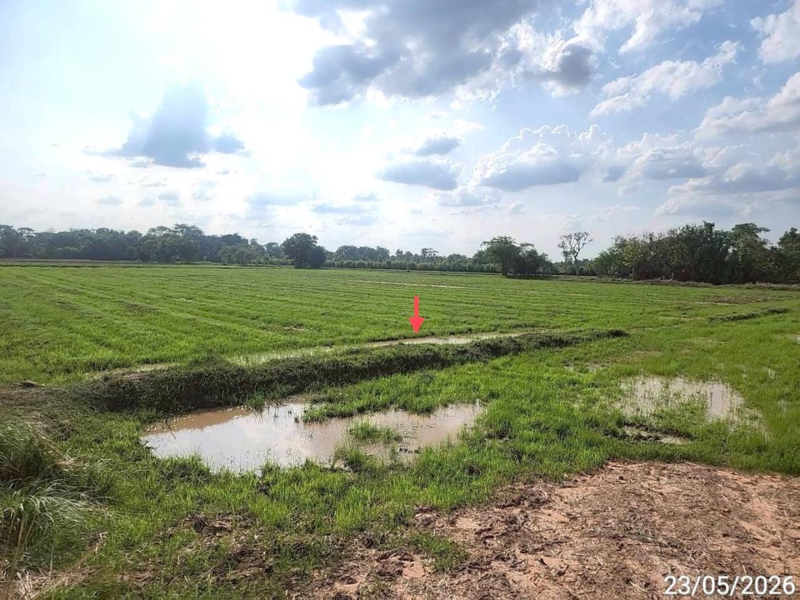 picture LAND 2647 Sq.w. Phayakkhaphum Phisai Maha Sarakham for 929,000 - 19/23