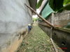 listing thumbnail image 41