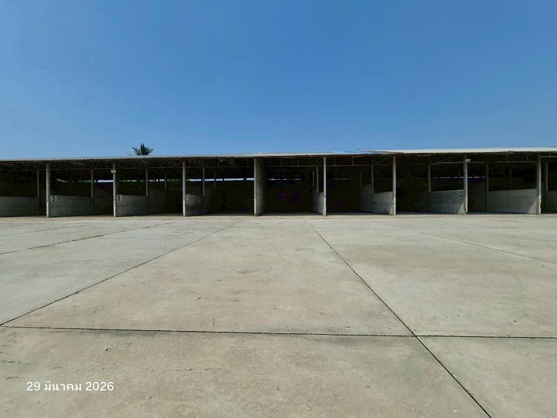 รูป บ้านเดี่ยว 6918 ตร.วา บึงสามัคคี กำแพงเพชร 11.1M - รูปที่ 76/107