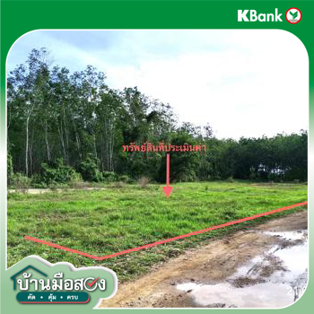 รูป ที่ดินว่างเปล่า 461.5 ตร.วา หาดใหญ่ สงขลา 1.3M - รูปที่ 23/25