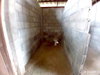 listing thumbnail image 26