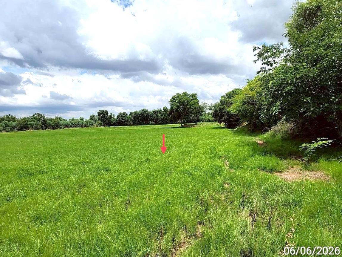 picture LAND 1235 Sq.w. Kaset Wisai Roi Et for 1.3M - 13/17