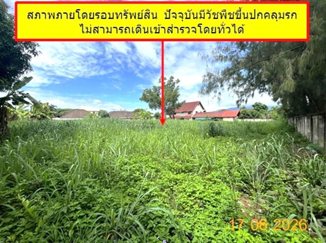 picture LAND 381.5 Sq.w. Muang Lampang Lamphang for 1.1M - 2/19