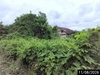 listing thumbnail image 30