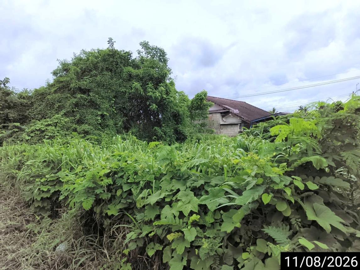 รูป ที่ดินว่างเปล่า 408.8 ตร.วา เมืองชุมพร ชุมพร 3.7M - รูปที่ 31/37