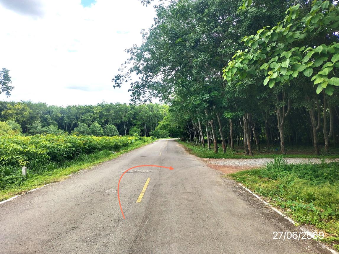 รูป ที่ดินว่างเปล่า 2402 ตร.วา ภูซาง พะเยา 730,000 - รูปที่ 17/21