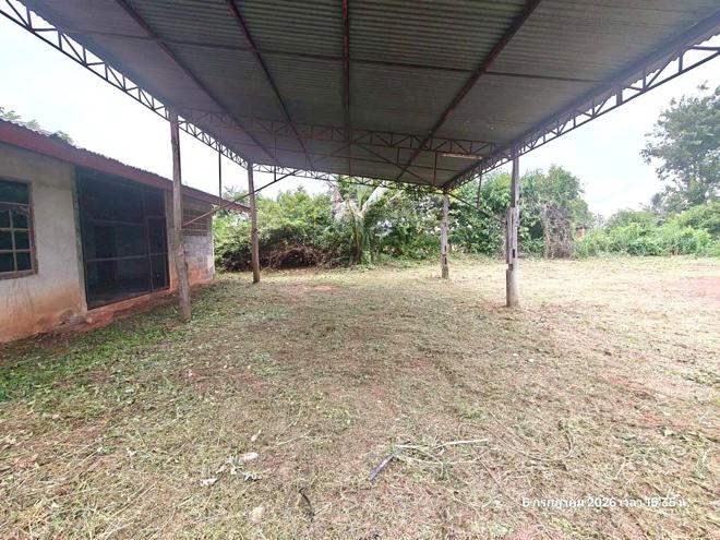 รูป บ้านเดี่ยว 7454 ตร.วา กุมภวาปี อุดรธานี 3.7M - รูปที่ 11/55