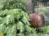 listing thumbnail image 26