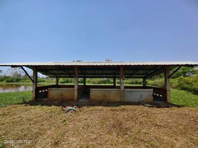 รูป โกดัง 8576 ตร.วา พาน เชียงราย 7.7M - รูปที่ 17/43