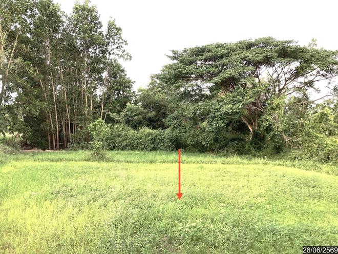 picture LAND 1358 Sq.w. Phanna Nikhom Sakon Nakhon for 1.1M - 5/21