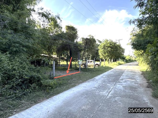รูป บ้านเดี่ยว 1049 ตร.วา ยางตลาด กาฬสินธุ์ 1.1M - รูปที่ 4/21