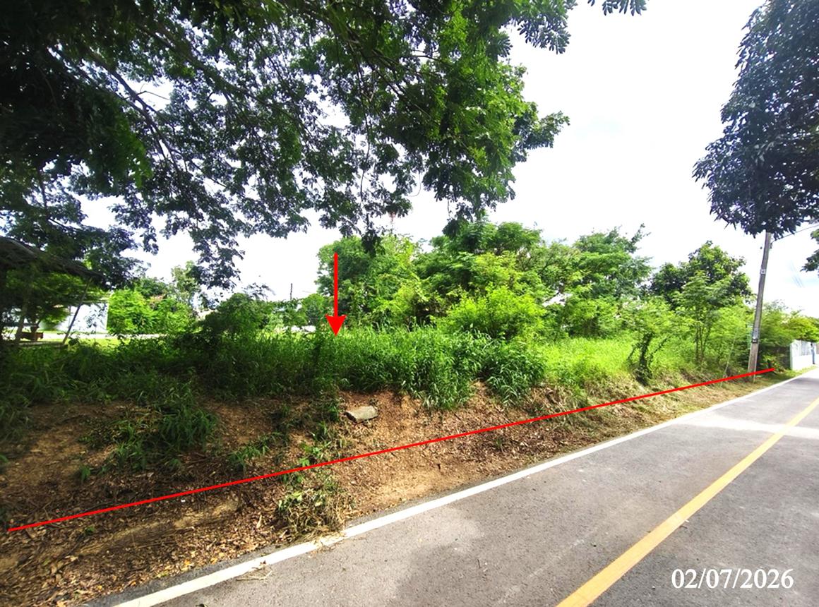 รูป ที่ดินว่างเปล่า 320 ตร.วา บางระกำ พิษณุโลก 2.1M - รูปที่ 10/19