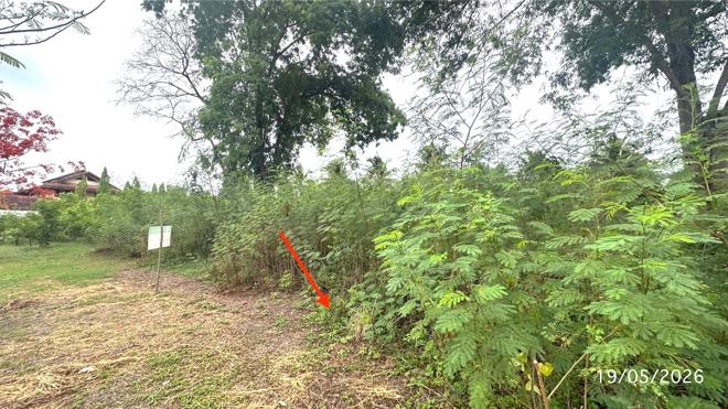picture LAND 225 Sq.w. Nakhon Chai Sri Nakhon Pathom for 3.3M - 9/21