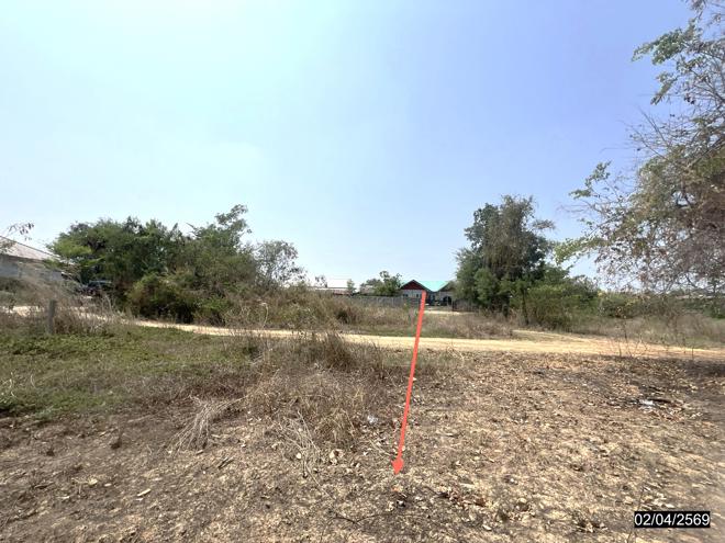 picture LAND 5419.4 Sq.w. Muang Chaiyaphum Chaiyaphum for 2.4M - 11/25