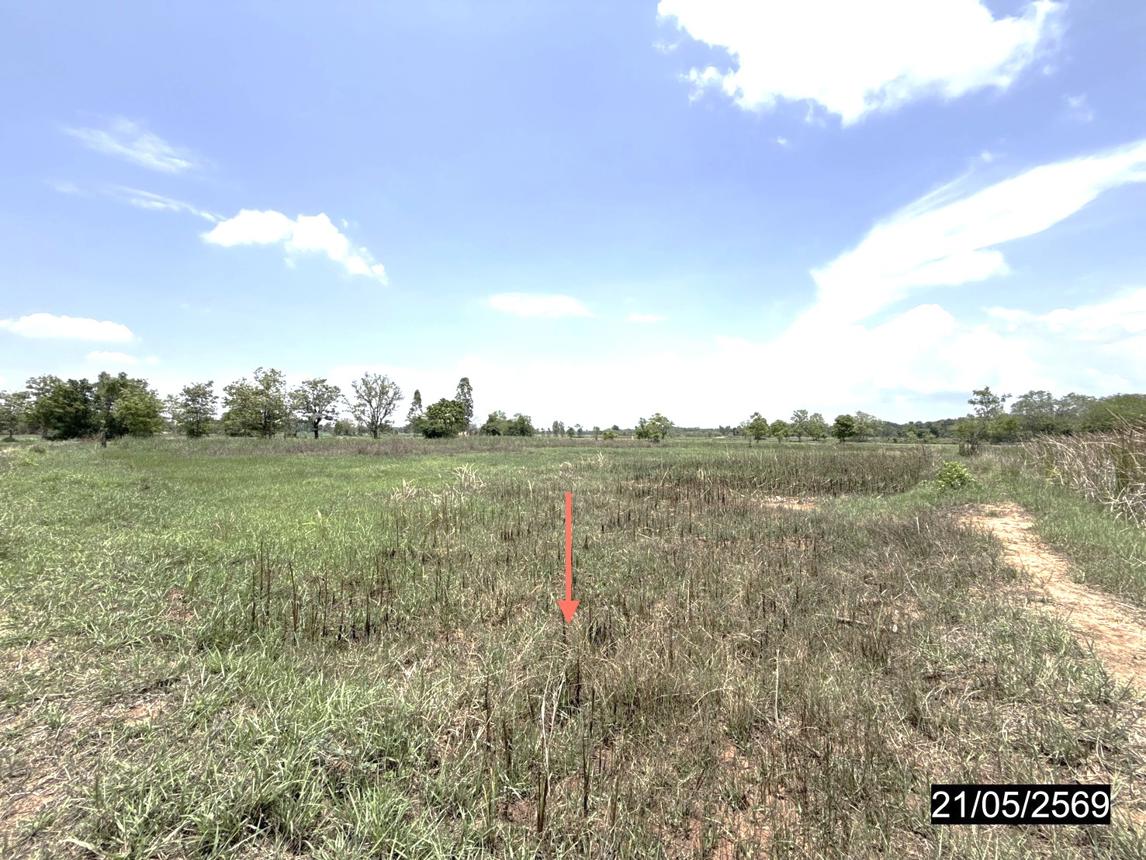 รูป ที่ดินว่างเปล่า 10280 ตร.วา ยางตลาด กาฬสินธุ์ 11M - รูปที่ 18/25