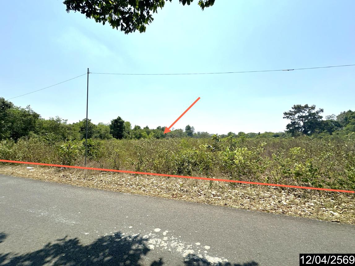 รูป ที่ดินว่างเปล่า 1662.3 ตร.วา เมืองอุบลราชธานี อุบลราชธานี 4.2M - รูปที่ 8/17