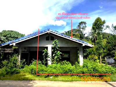 บ้านเดี่ยว กระบี่ : บ้านเดี่ยว 379.2 ตร.วา เมืองกระบี่ กระบี่ 2.8M