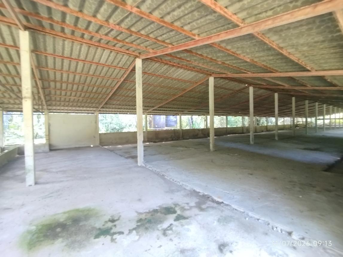 รูป ฟาร์ม 2165 ตร.วา กะปง พังงา 4M - รูปที่ 28/35