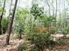 listing thumbnail image 14