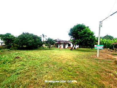 Houses for sale Nong Phai Phetchabun : HOME 175 Sq.w. Nong Phai Phetchabun for 577,000