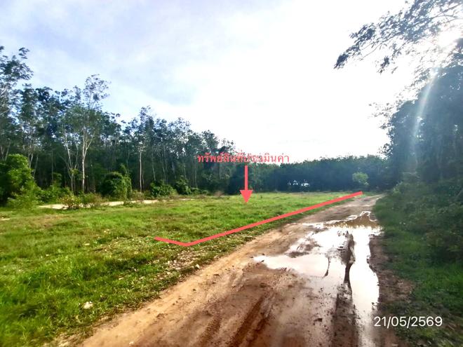 รูป ที่ดินว่างเปล่า 461.5 ตร.วา หาดใหญ่ สงขลา 1.3M - รูปที่ 8/25