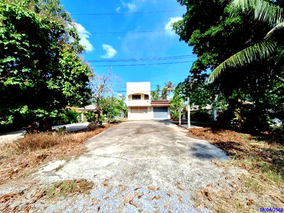 บ้านเดี่ยว ตรัง : บ้านเดี่ยว 183.7 ตร.วา ห้วยยอด ตรัง 4.3M