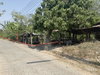 listing thumbnail image 15