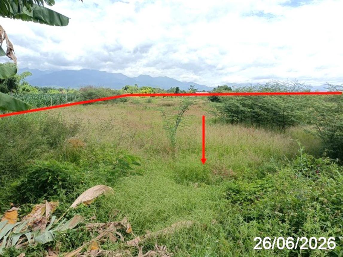 picture LAND 2211.4 Sq.w. Fang Chiang Mai for 2.8M - 11/17