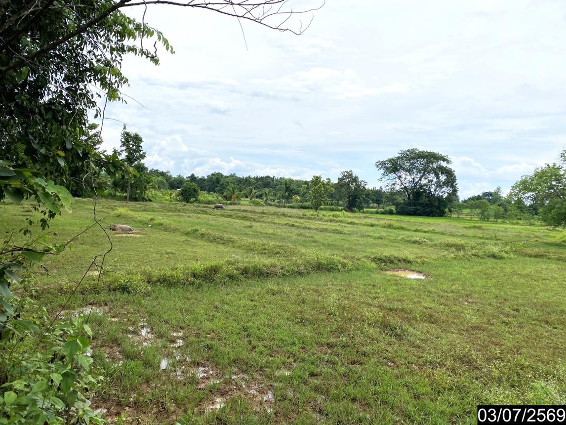 รูป ที่ดินว่างเปล่า 2956 ตร.วา นากลาง หนองบัวลำภู 5M - รูปที่ 21/25