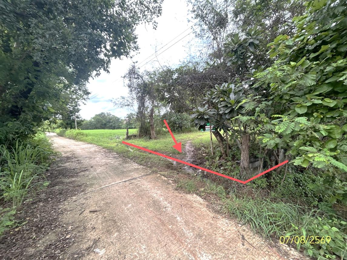รูป บ้านเดี่ยว 2910 ตร.วา พนา อำนาจเจริญ 1.4M - รูปที่ 21/25