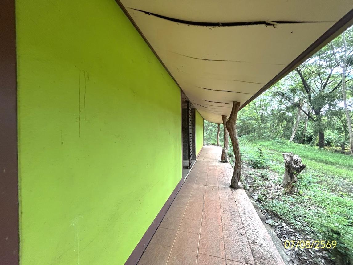 รูป บ้านเดี่ยว 2910 ตร.วา พนา อำนาจเจริญ 1.4M - รูปที่ 13/25