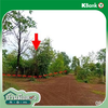 listing thumbnail image 18