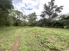 listing thumbnail image 18