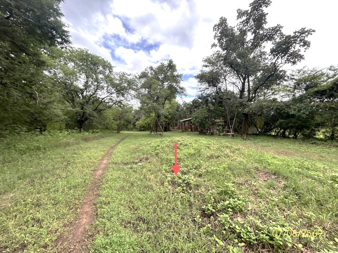 รูป บ้านเดี่ยว 2910 ตร.วา พนา อำนาจเจริญ 1.4M - รูปที่ 19/25