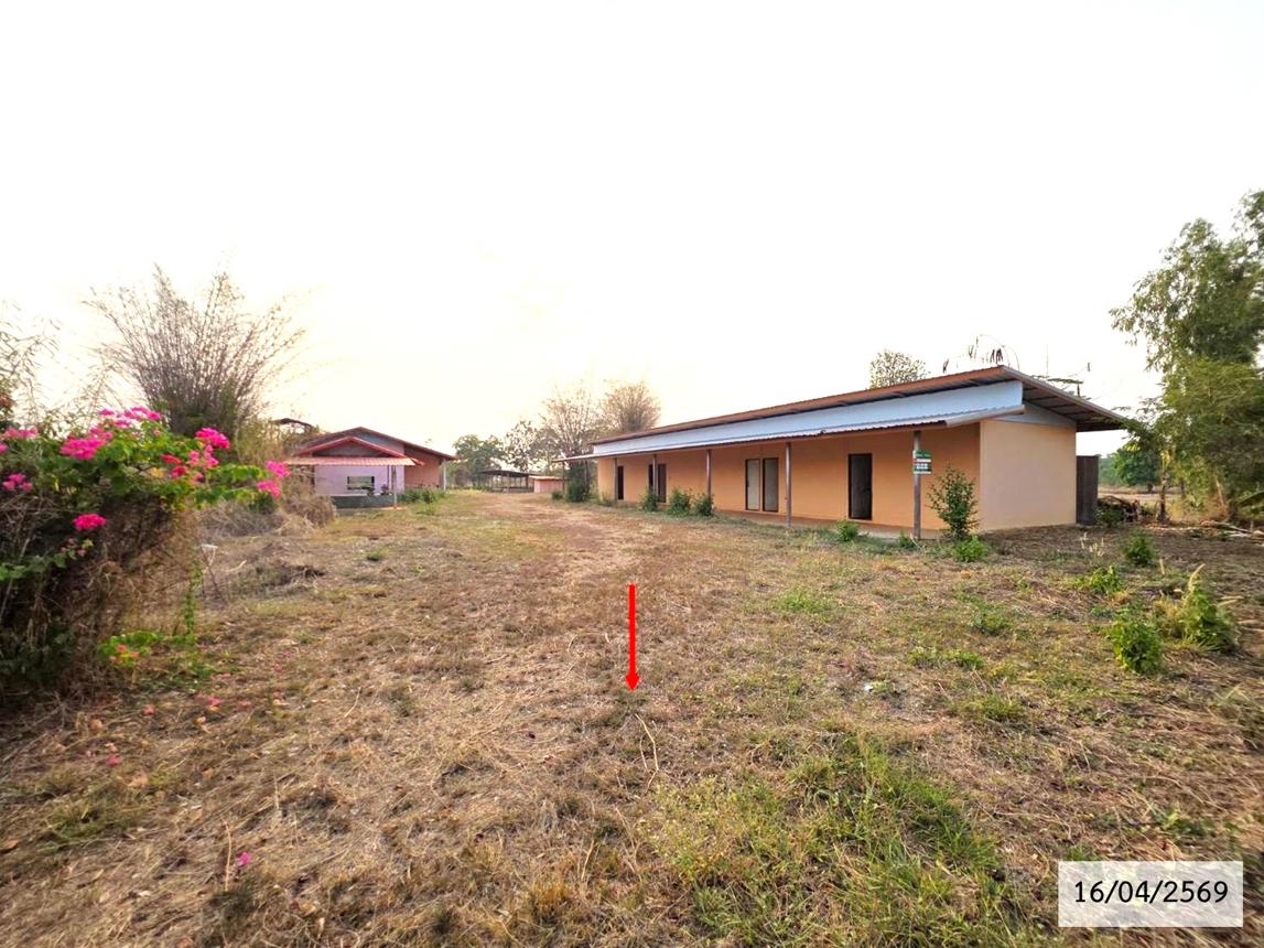 รูป บ้านเดี่ยว 800 ตร.วา สว่างแดนดิน สกลนคร 2.1M - รูปที่ 33/39
