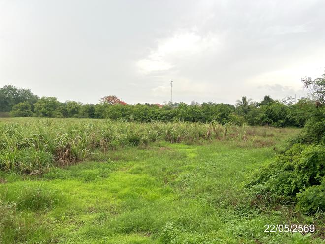 รูป ที่ดินว่างเปล่า 5164 ตร.วา วัฒนานคร สระแก้ว 8.5M - รูปที่ 4/13