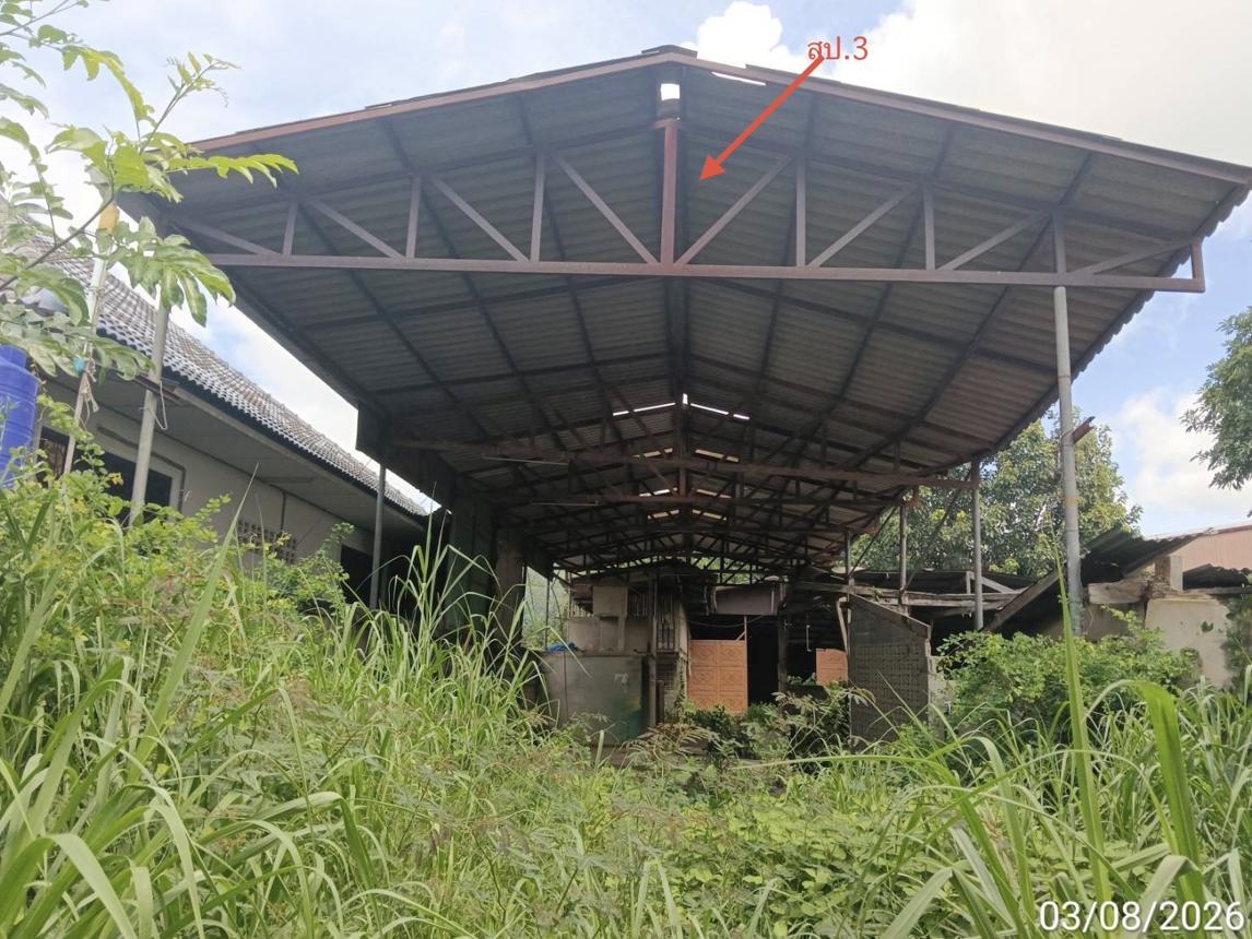 รูป โกดัง 703.2 ตร.วา วังน้ำเย็น สระแก้ว 5.2M - รูปที่ 31/41