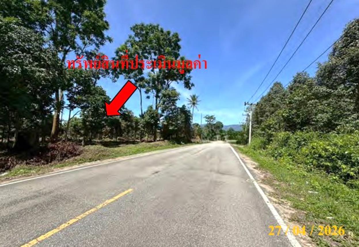รูป ที่ดินว่างเปล่า 440 ตร.วา ศรีสาคร นราธิวาส 660,000 - รูปที่ 9/15