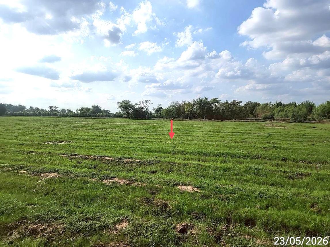 picture LAND 2647 Sq.w. Phayakkhaphum Phisai Maha Sarakham for 929,000 - 15/23