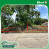 listing thumbnail image 18