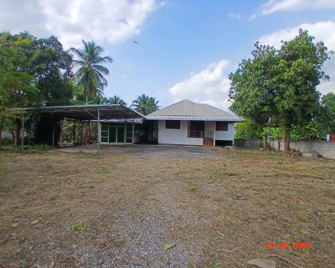 รูป บ้านเดี่ยว 375 ตร.วา วังสะพุง เลย 2.9M - รูปที่ 2/49