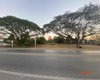 listing thumbnail image 16