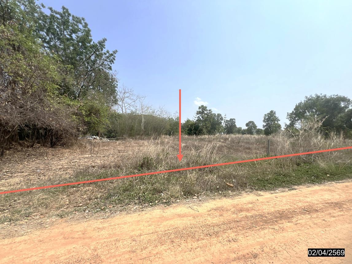 picture LAND 5419.4 Sq.w. Muang Chaiyaphum Chaiyaphum for 2.4M - 19/25
