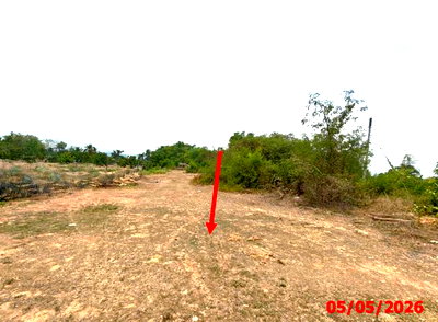 ที่ดิน ลำปาง : ที่ดินว่างเปล่า 499 ตร.วา แม่ทะ ลำปาง 914,000
